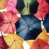 Zomeruitverkoop – 20% korting op alles